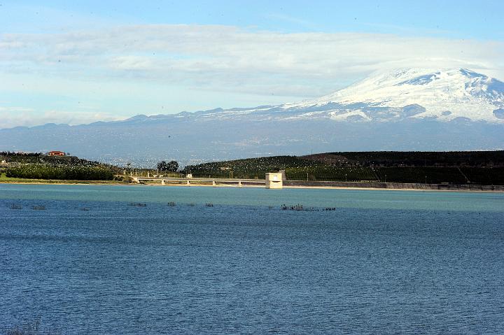 Biviere di Lentini 23.1.2011 (147).jpg